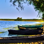 delta-dunarii-ali-cantemir