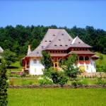 Barsana7