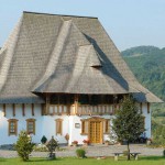 Barsana8