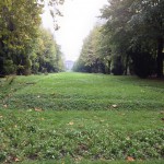 Cismigiu gradina 2