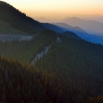 OVO_8779