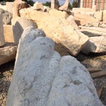 Mogosoaia santier reabilitare vestigii Vacaresti3